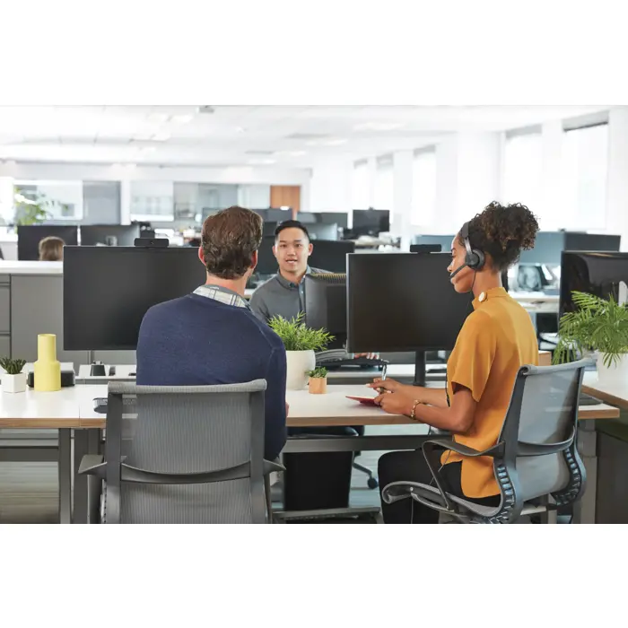 Logitech Zone Wired MSFT Teams - heads