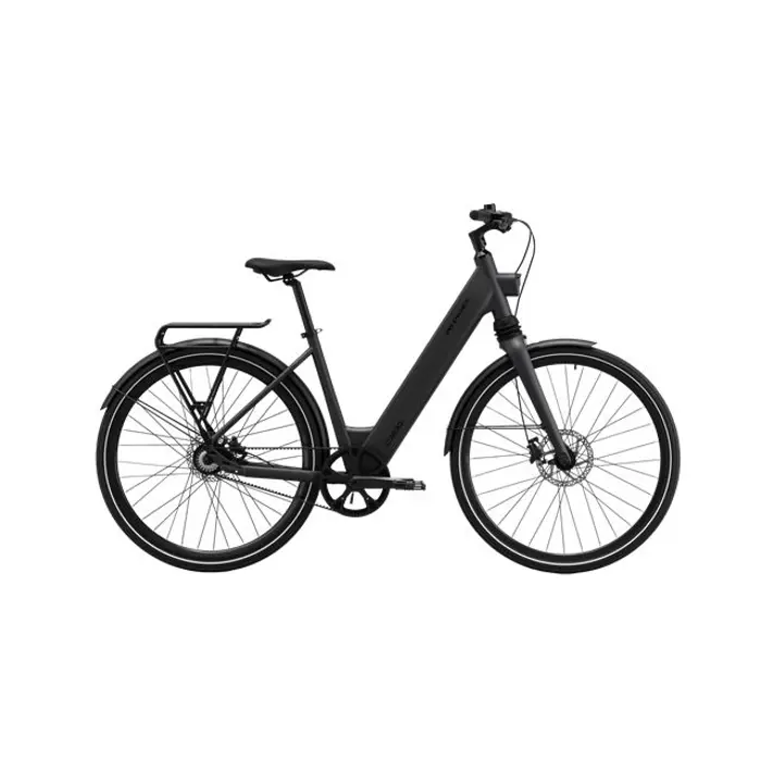 MS ENERGY eBike c300