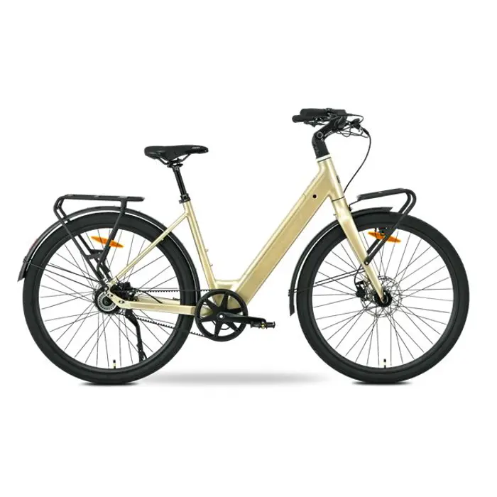 ms-energy-ebike-zorya-plus-silver-gold-15327-0001423545.webp