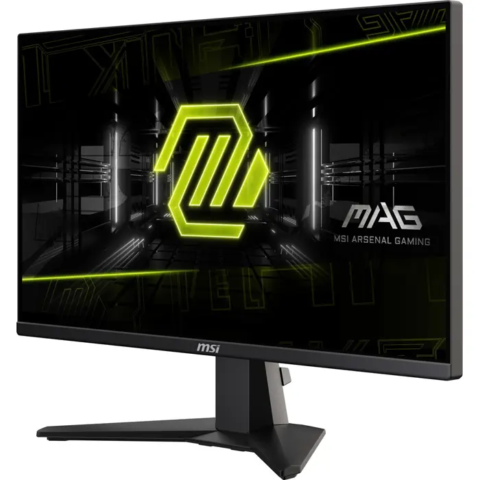 MSI MAG 255F E20 computer monitor 62.2 cm (24.5") 1920 x 1080 pixels Full HD LCD Black