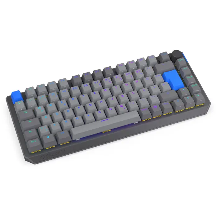 Thock V2 75% Wireless (gray, DE layout, ENDORFY Yellow by Gateron)