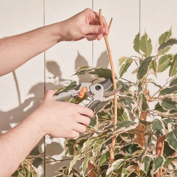 VonHaus pruning set